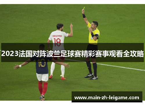 2023法国对阵波兰足球赛精彩赛事观看全攻略