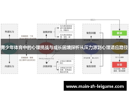 青少年体育中的心理挑战与成长困境探析从压力源到心理适应路径